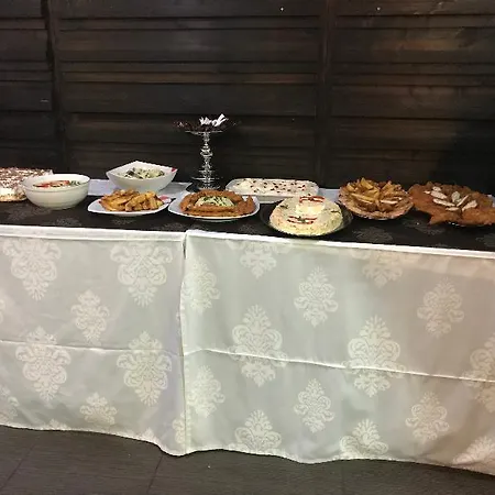 酒店 凡蒂亚酒店 蒂米什瓦拉
