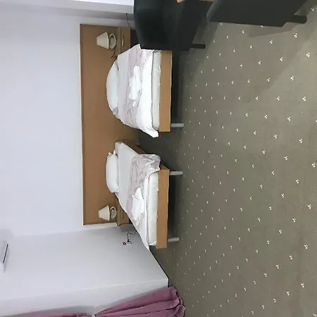 凡蒂亚酒店 酒店 蒂米什瓦拉