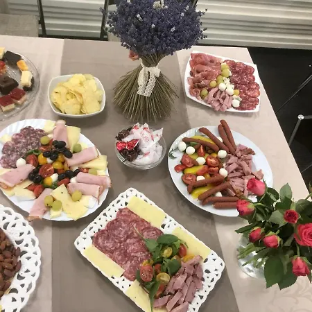 酒店 凡蒂亚酒店 蒂米什瓦拉