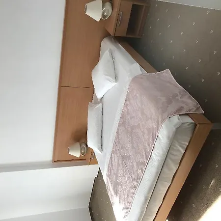 凡蒂亚酒店 3* 蒂米什瓦拉