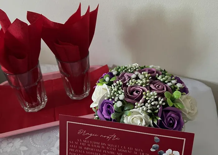 Vandia Hotel Timişoara