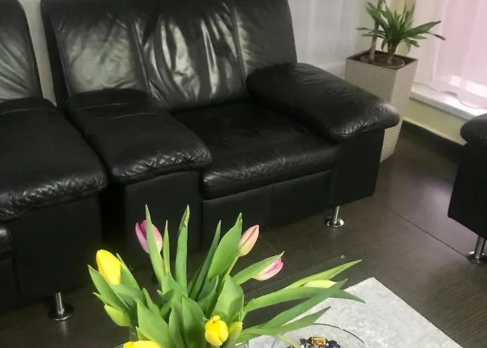 Vandia Hotel Timişoara