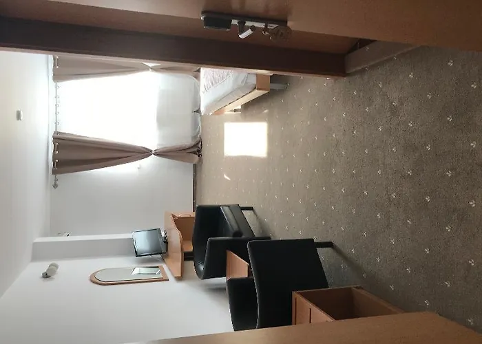 Hotel Vandia Timişoara